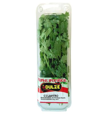 Cilantro Bandeja 20 G