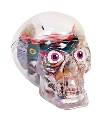 Calavera Miguelañez Catrina 1 Unidad