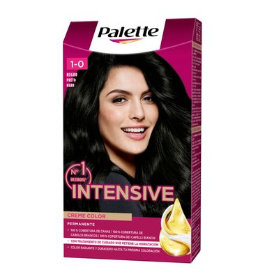 Palette Intense Color Cream 1 Negro Intenso 1 Unidad