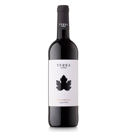 VINO TERRA CALIDA TINTO 75 CL - SIN MARCA